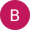 Birdie T. Avatar