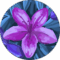 Carina F. Avatar